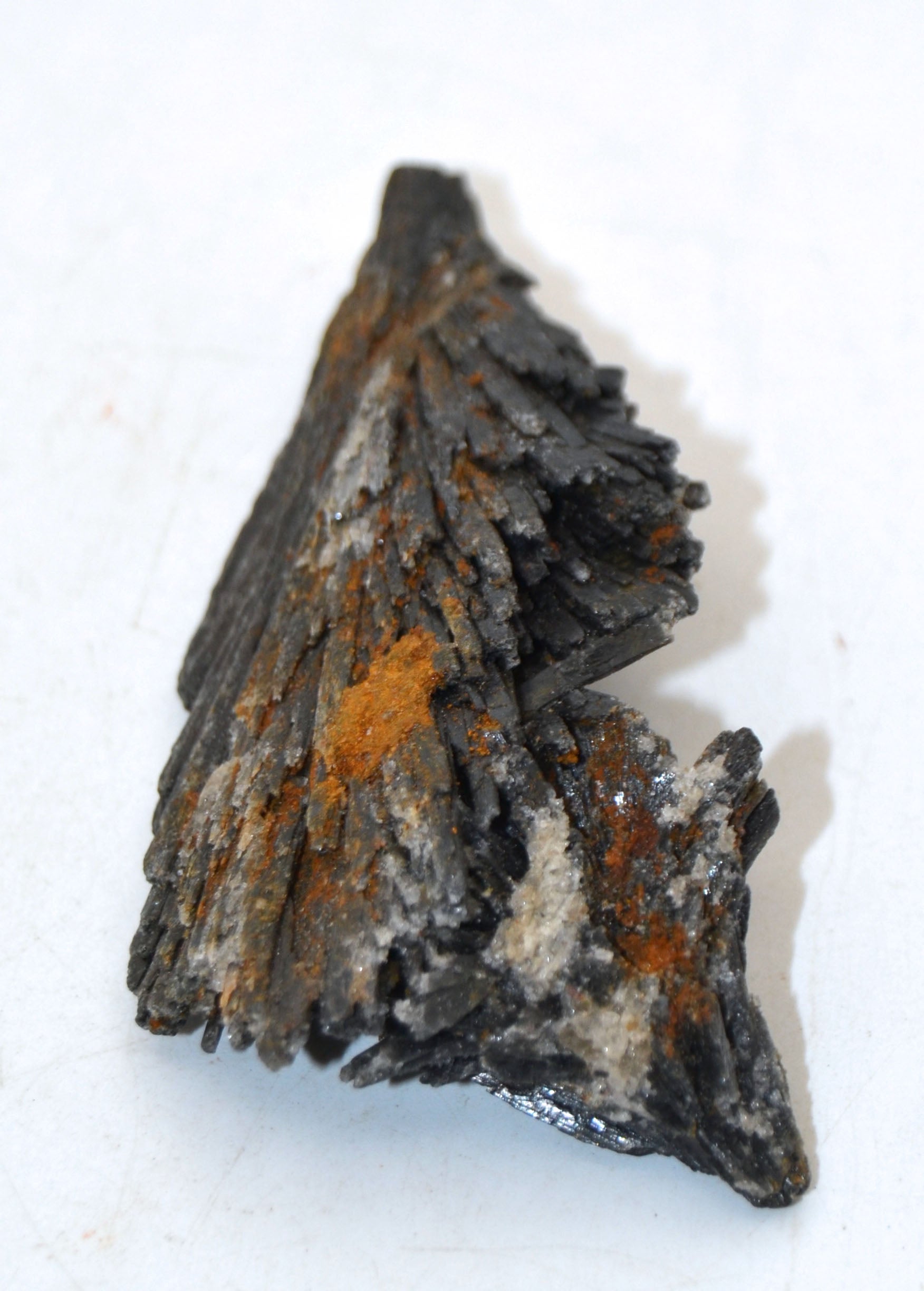 Black Natura lKyanite