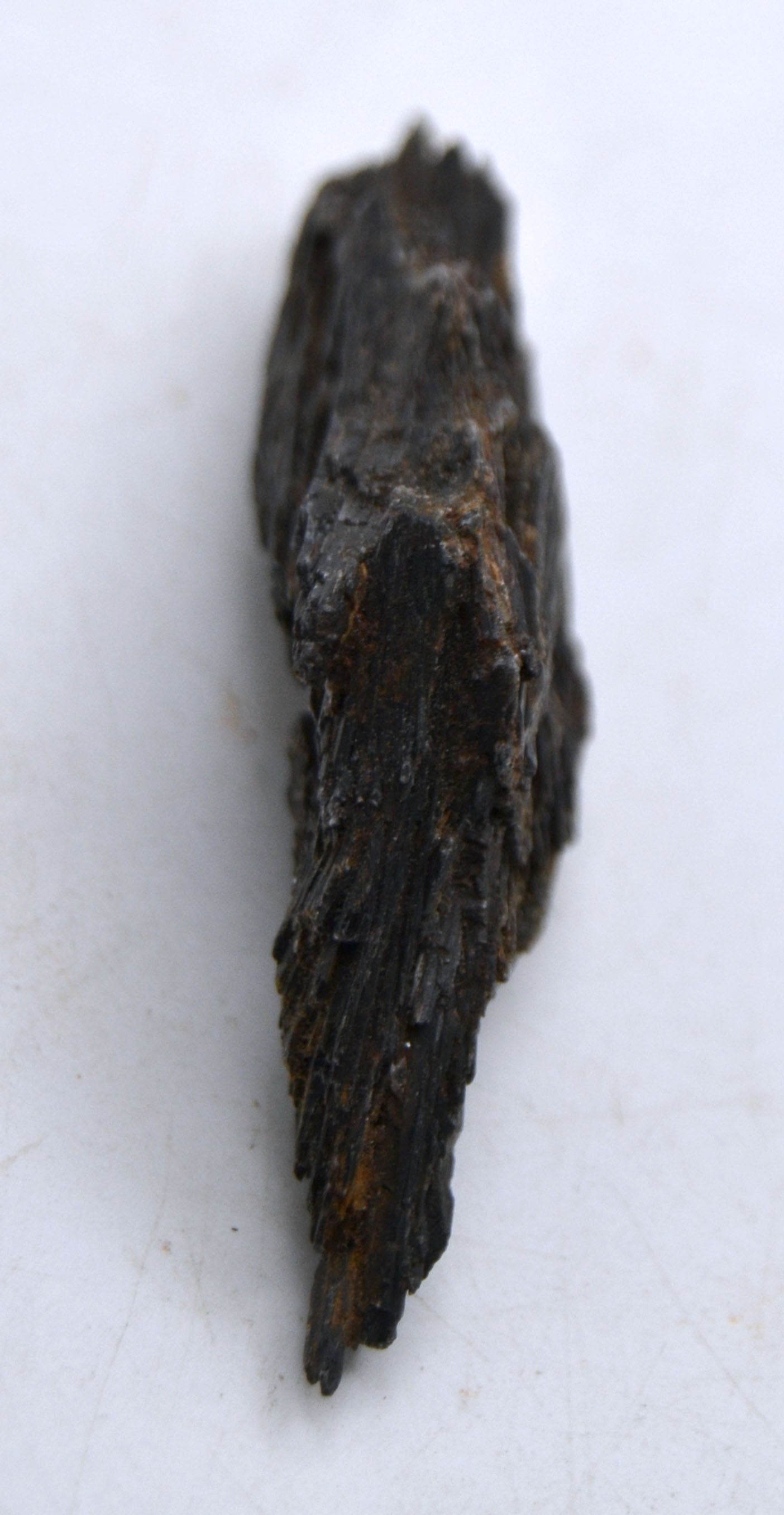 Black Natural Kyanite (C)