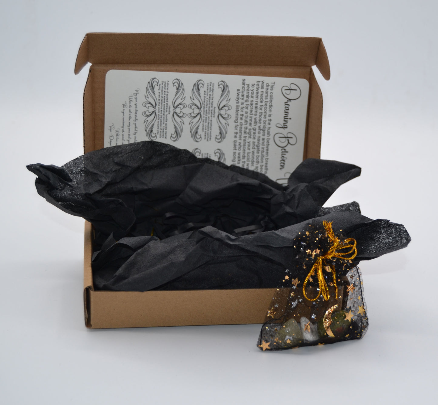 Dreaming Between Worlds