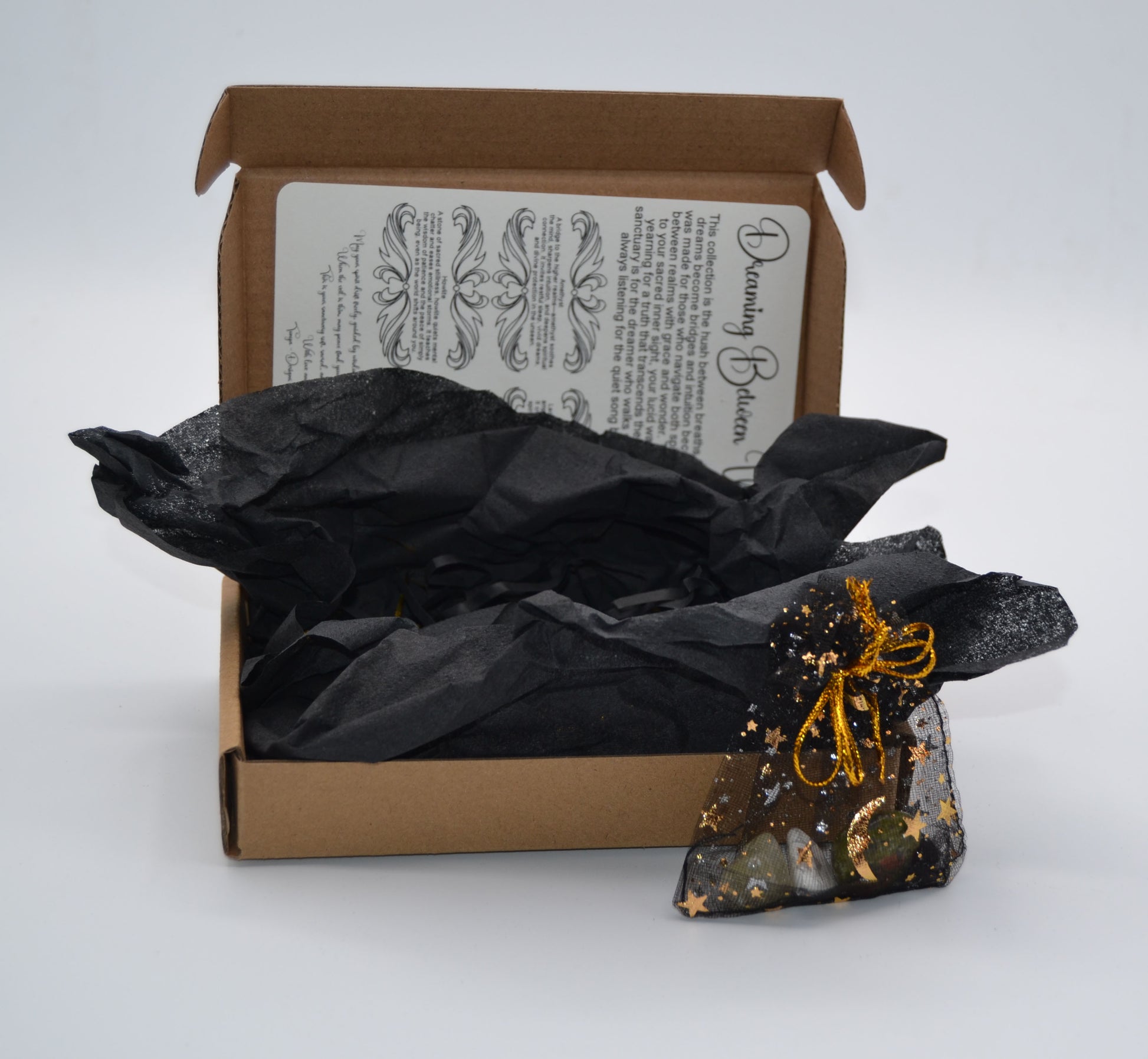 Dreaming Between Worlds