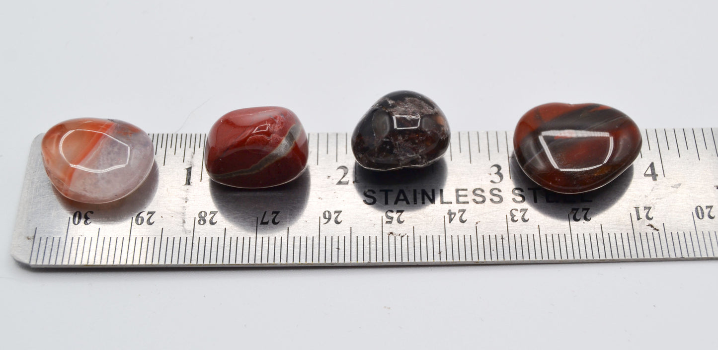 Earth & Fire Warrior