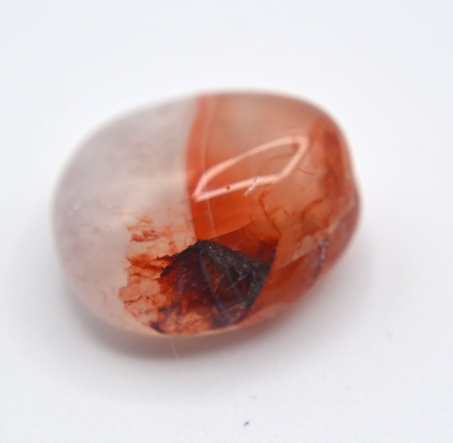 Earth & Fire Warrior