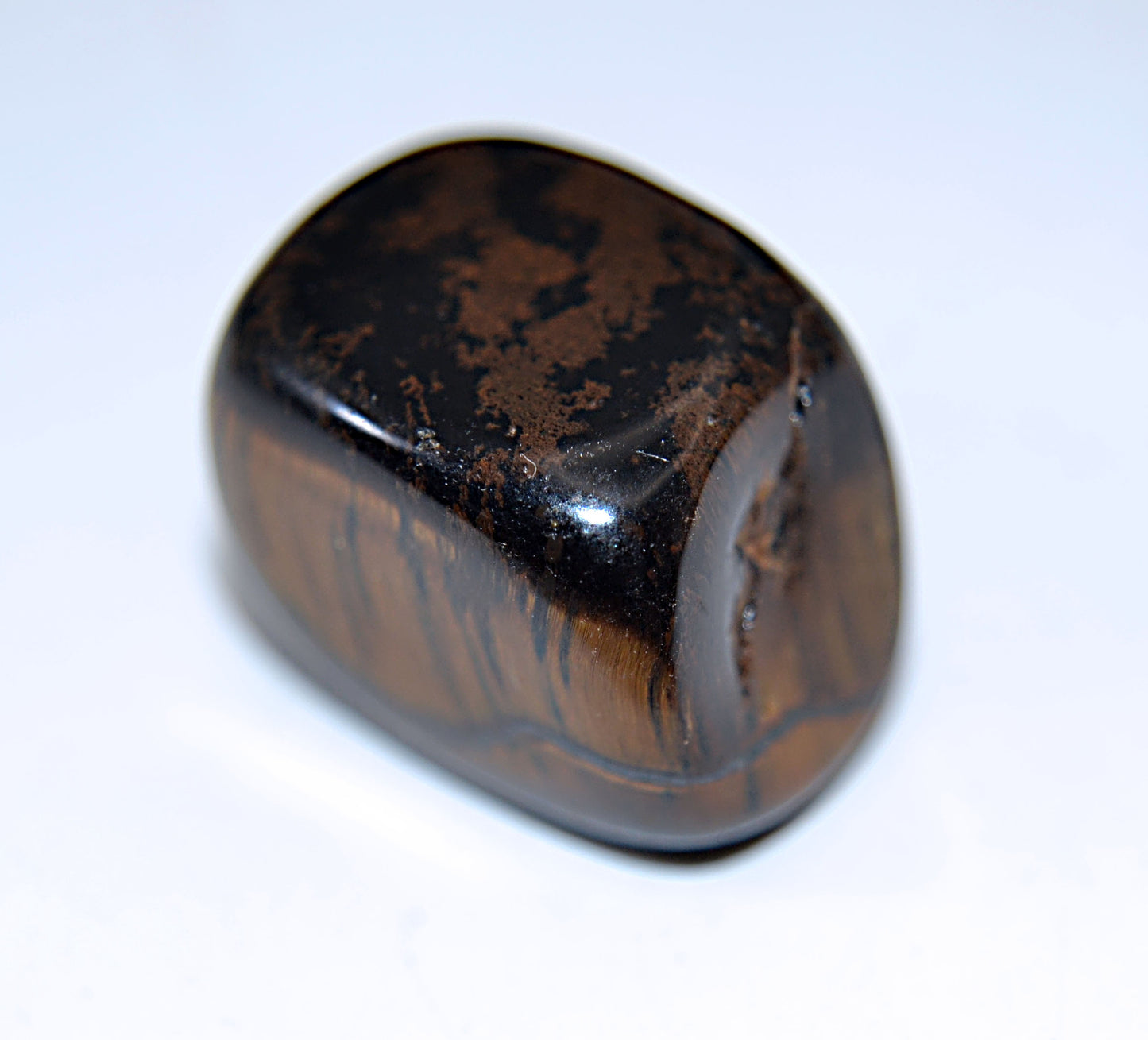 Feral Grace - Tiger’s Eye