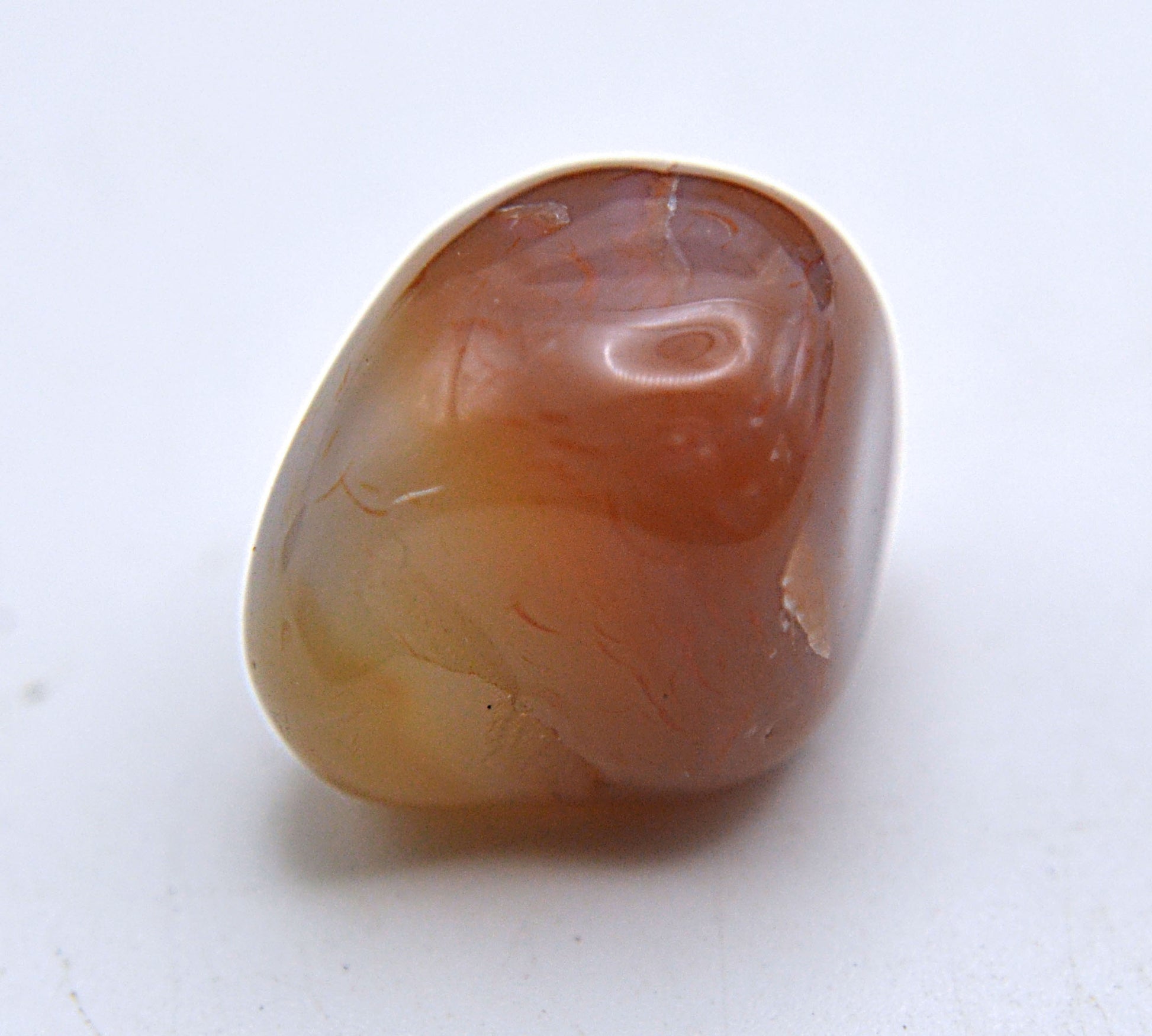 Feral Grace - Carnelian Agate