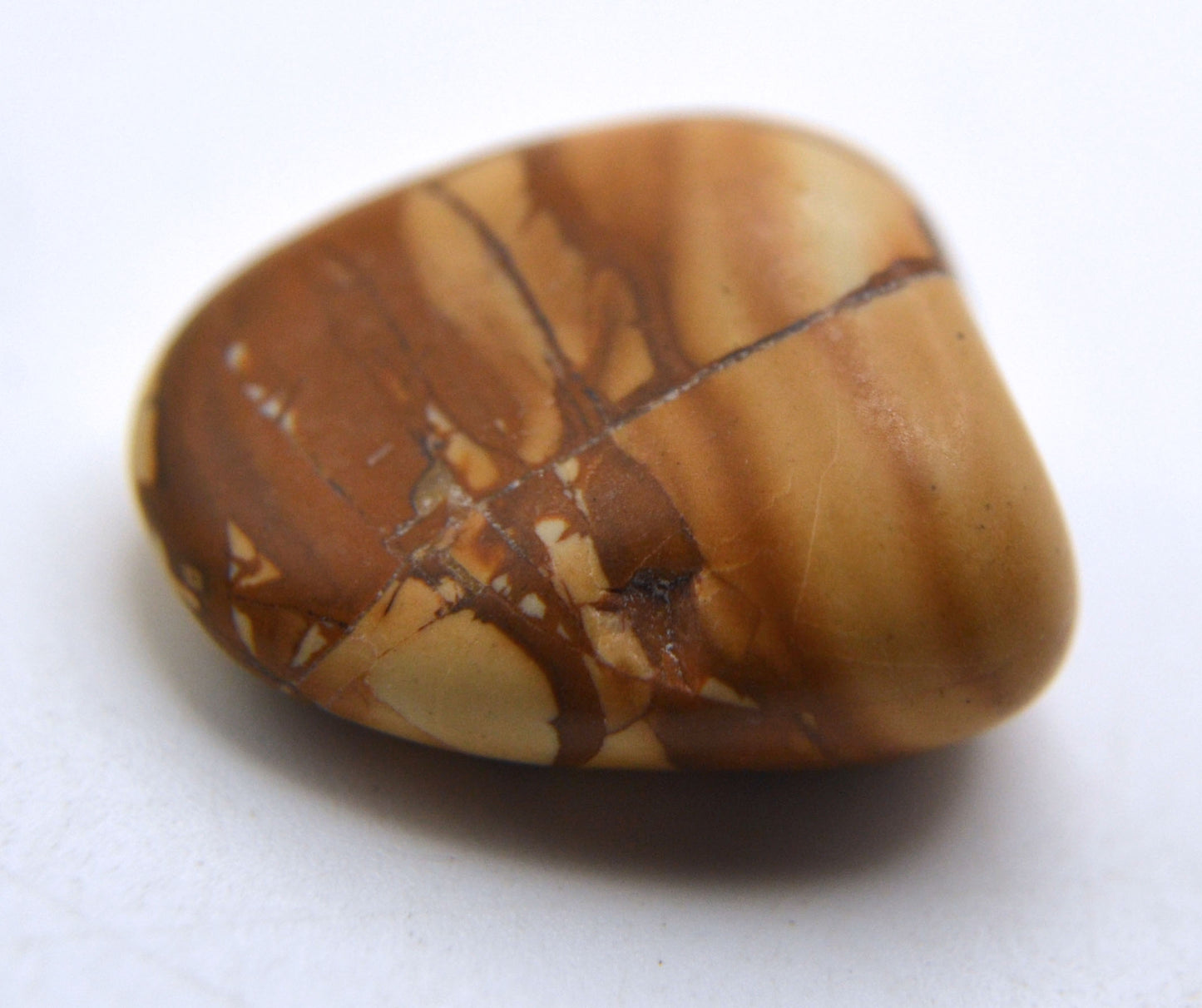Grounded & Grateful - Picture Jasper