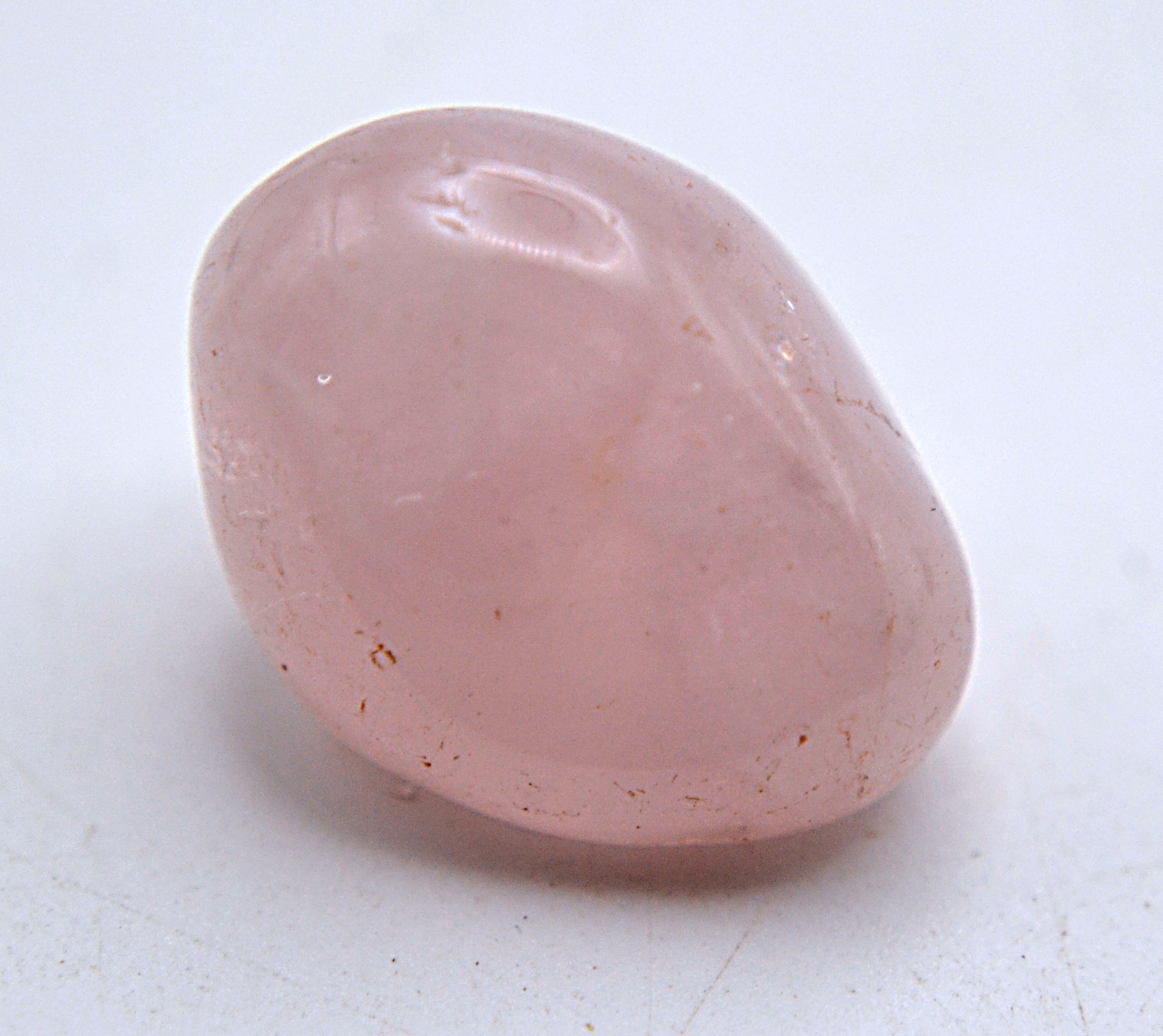 Heart of the Wild - Rose Quartz